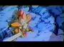 Dragonball Z Movie 13 (16)